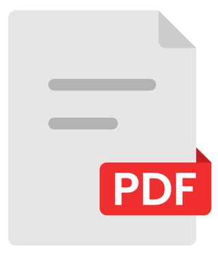 Icon zum Download PDF-Dokument